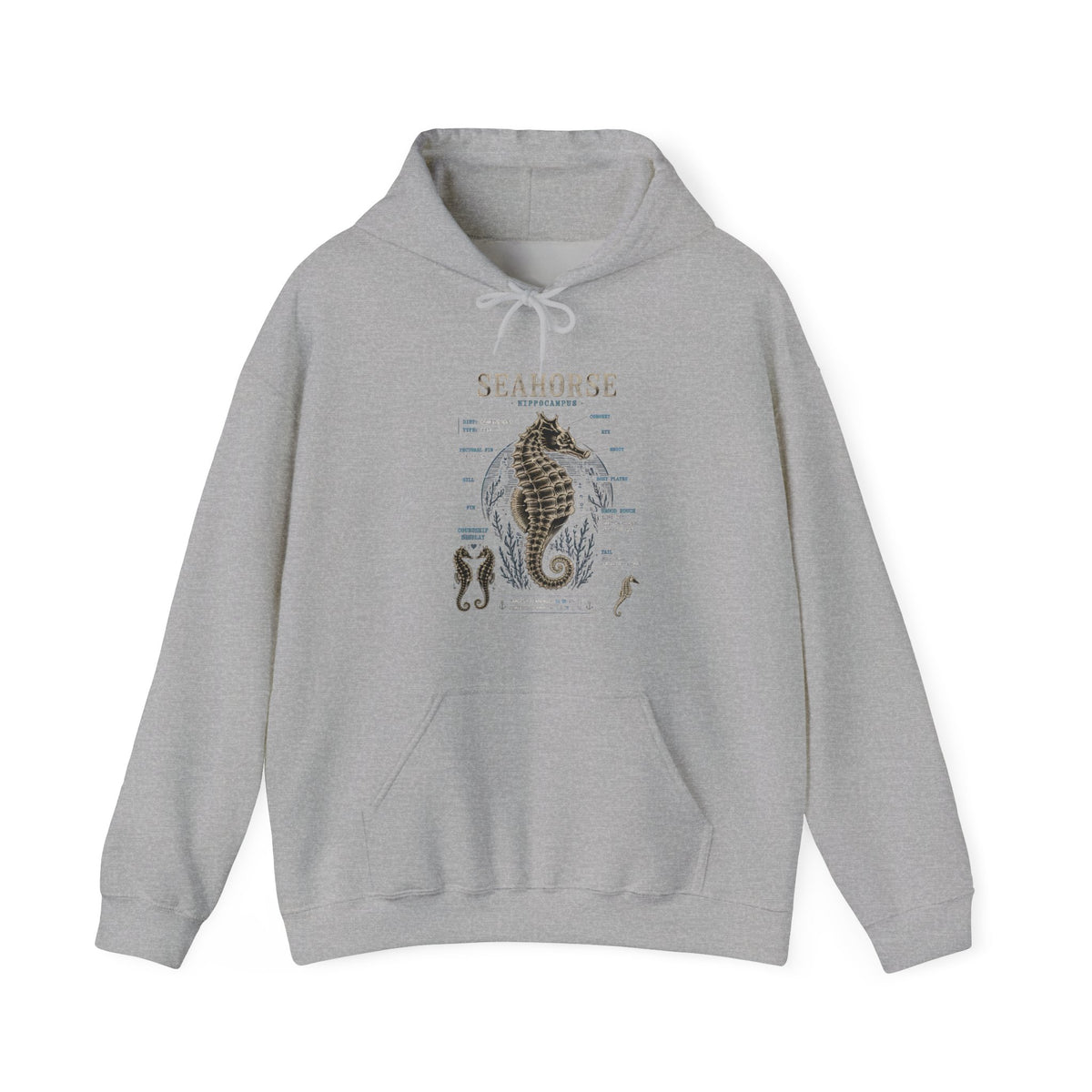 Seahorse Anatomy Hoodie — Vintage Marine Illustration Sweatshirt