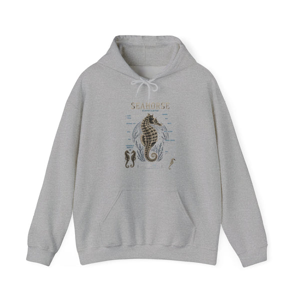 Seahorse Anatomy Hoodie — Vintage Marine Illustration Sweatshirt