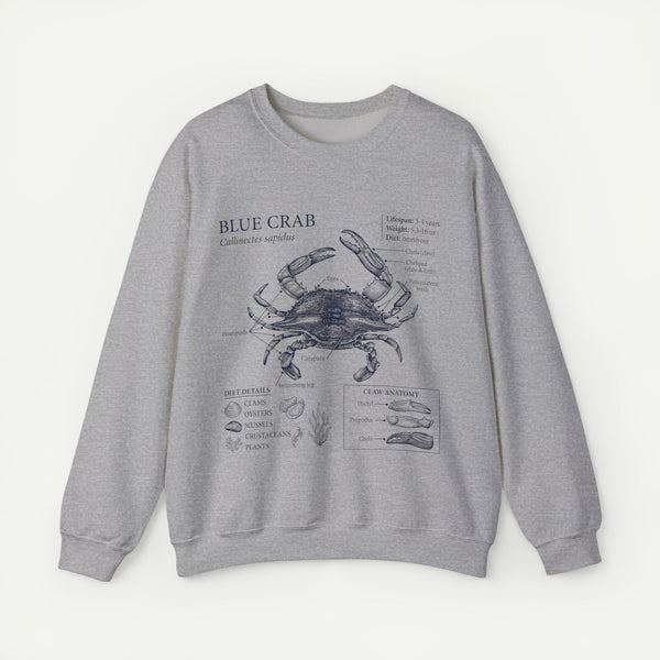 Blue Crab Anatomy Crewneck Sweatshirt – Marine Biology Graphic Pullover