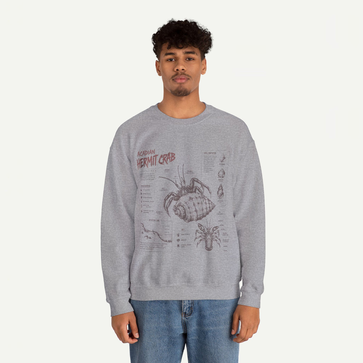 Hermit Crab Anatomy Sweatshirt — Acadian Hermit Crab Illustration
