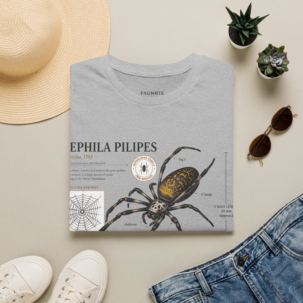 Spider Anatomy T-Shirt — Epephila Pilipis Scientific Illustration Tee