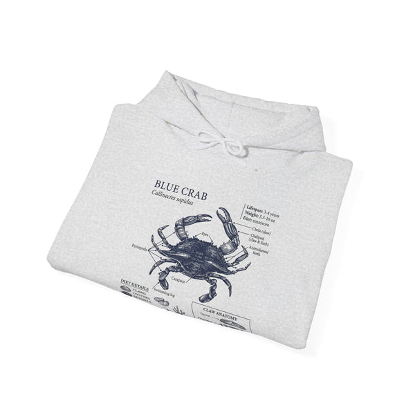 Blue Crab Anatomy Hoodie – Nautical Marine Biology Graphic Sweatshirt
