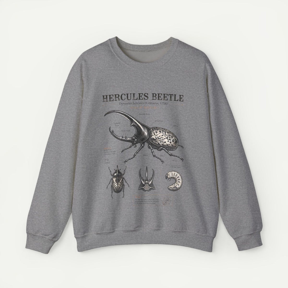 Hercules Beetle Anatomy  Crewneck Sweatshirt – Vintage Entomology Graphic