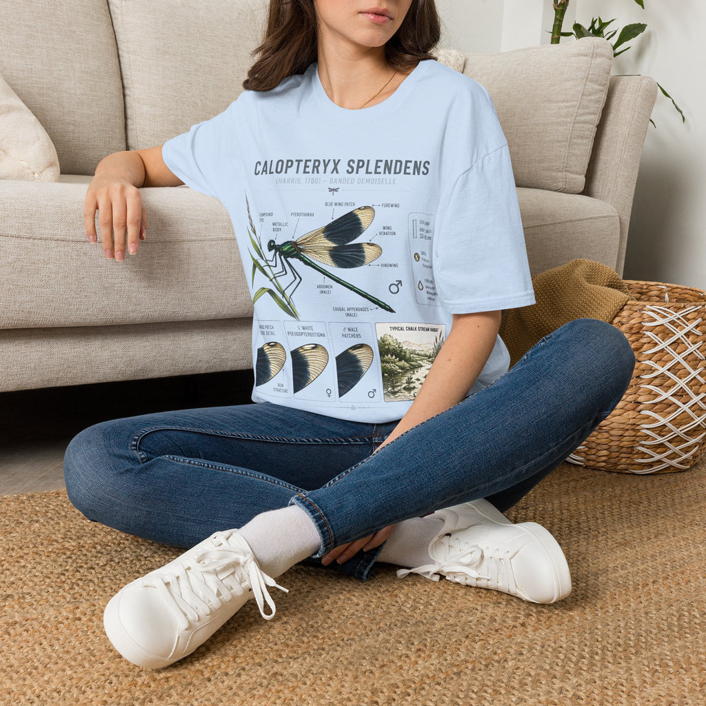 Calopteryx Splendens Anatomy T-Shirt