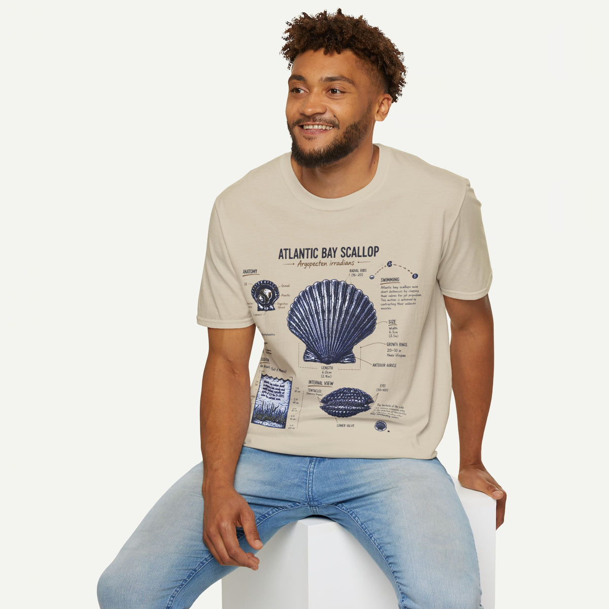 Scallop Shell Anatomy T‑Shirt — Atlantic Bay Scallop Illustration Tee