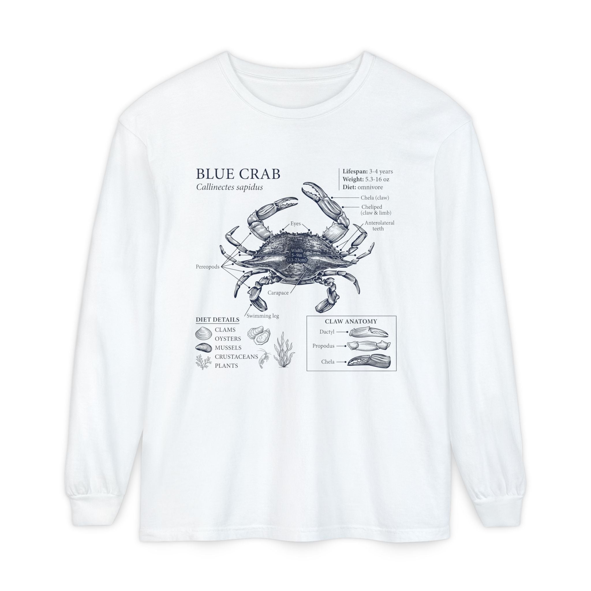 Blue Crab Anatomy Long Sleeve Tee Secondary image