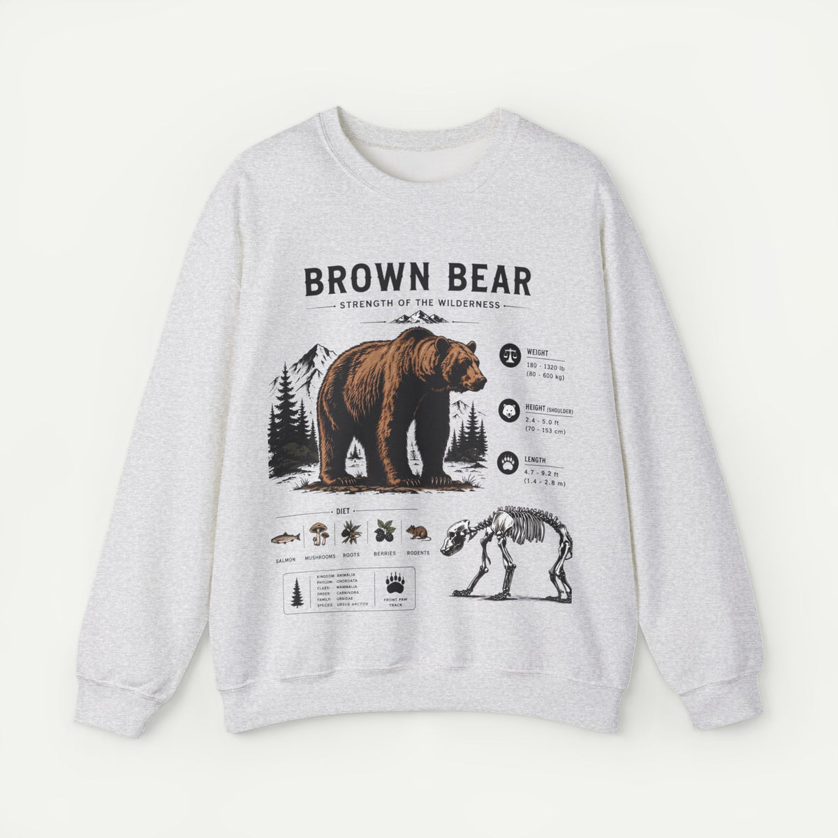 Brown Bear Anatomy Sweatshirt — Wildlife Illustration Graphic Sweatshirt