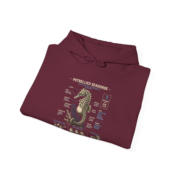 Pocketwatch Seahorse Anatomy Hoodie — Vintage Nautical Illustration Sweatshirt