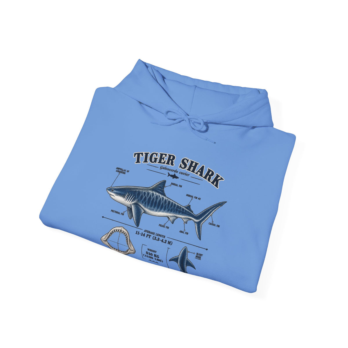 Tiger Shark Anatomy Hoodie — Nautical Science Graphic Pullover