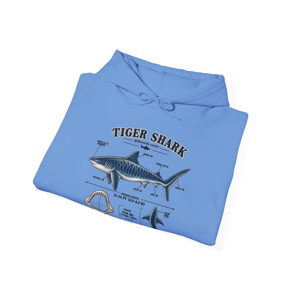 Tiger Shark Anatomy Hoodie — Nautical Science Graphic Pullover