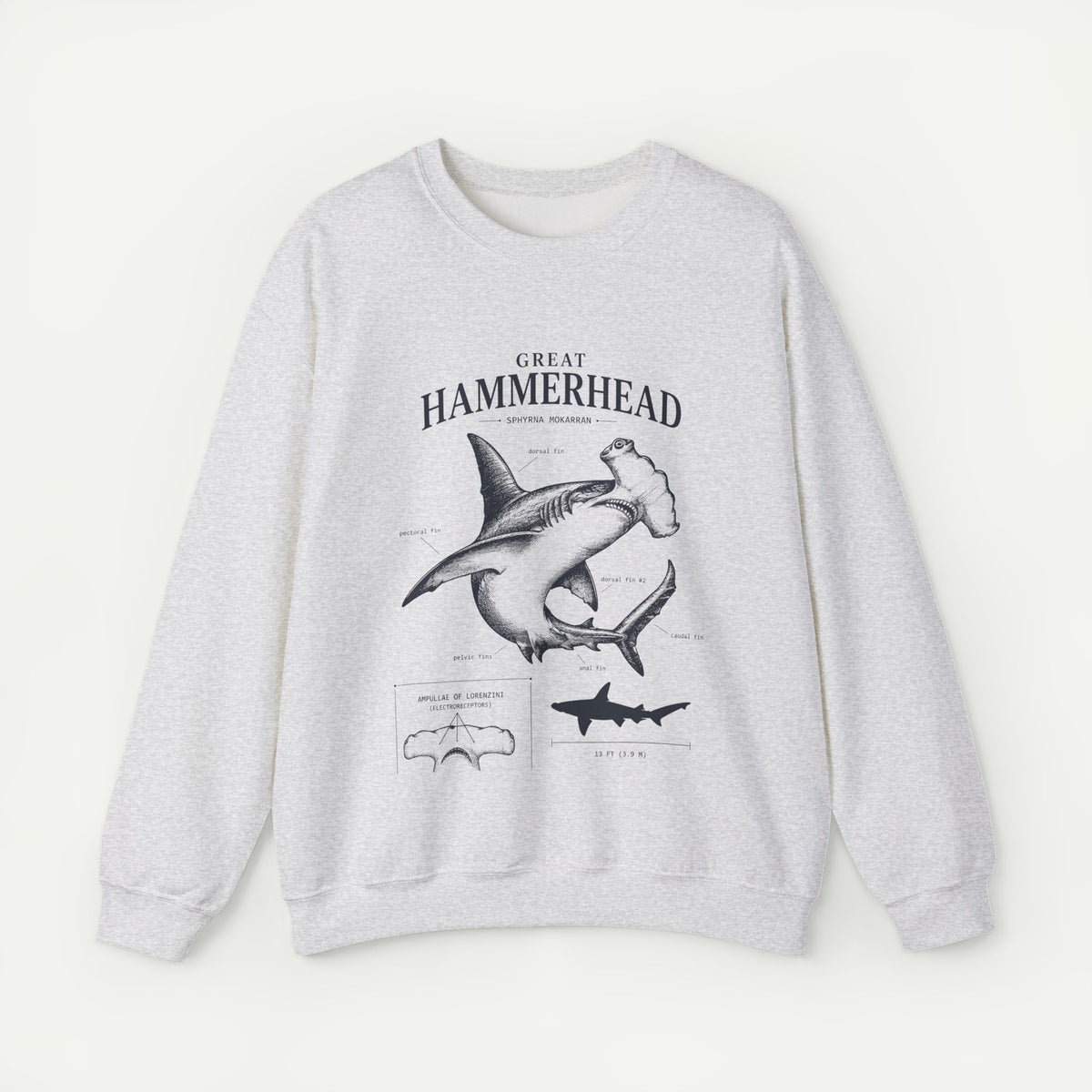 Hammerhead Shark Sweatshirt – Great Hammerhead Illustration