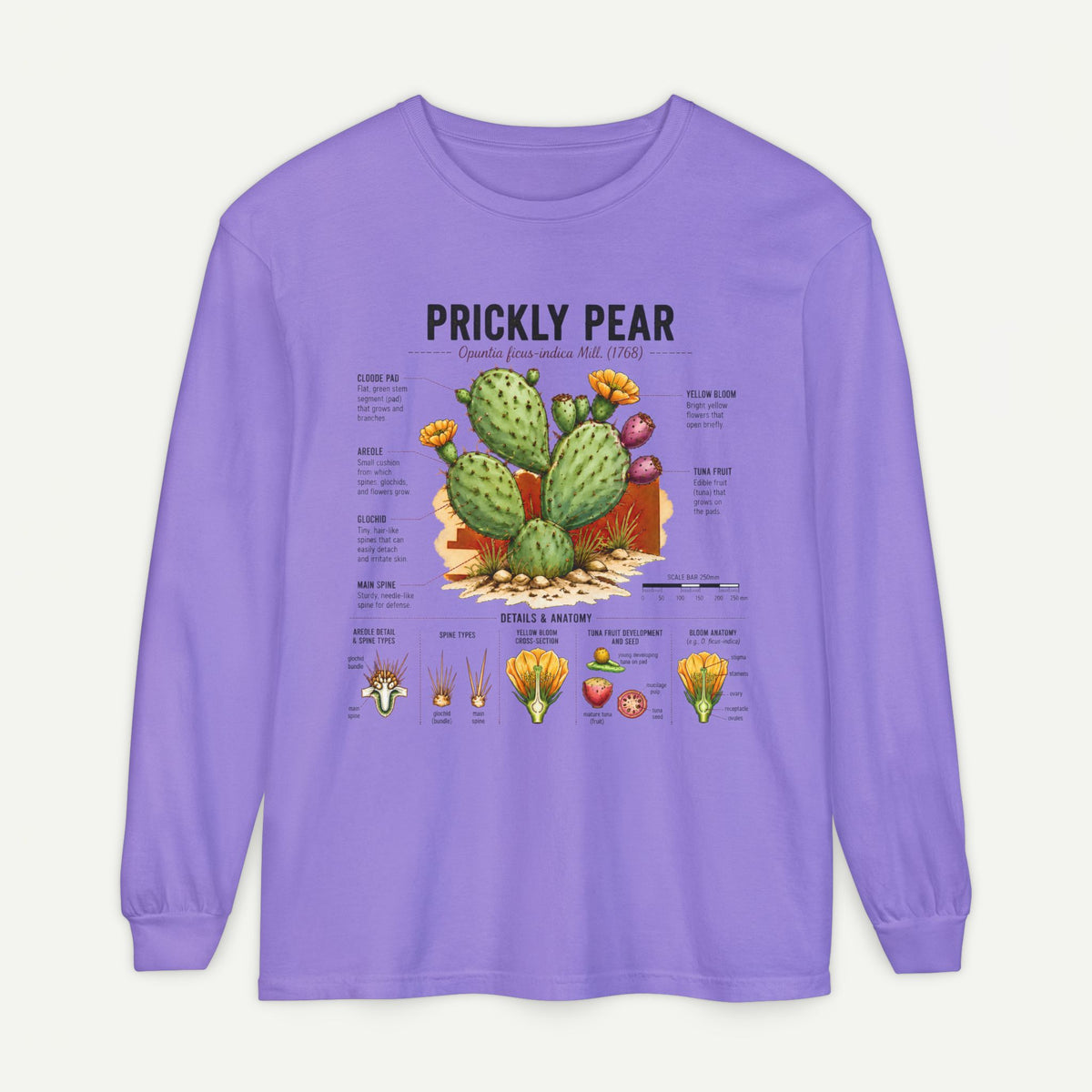 Prickly Pear Botanical Long Sleeve T-Shirt — Cactus Illustration & Plant Facts