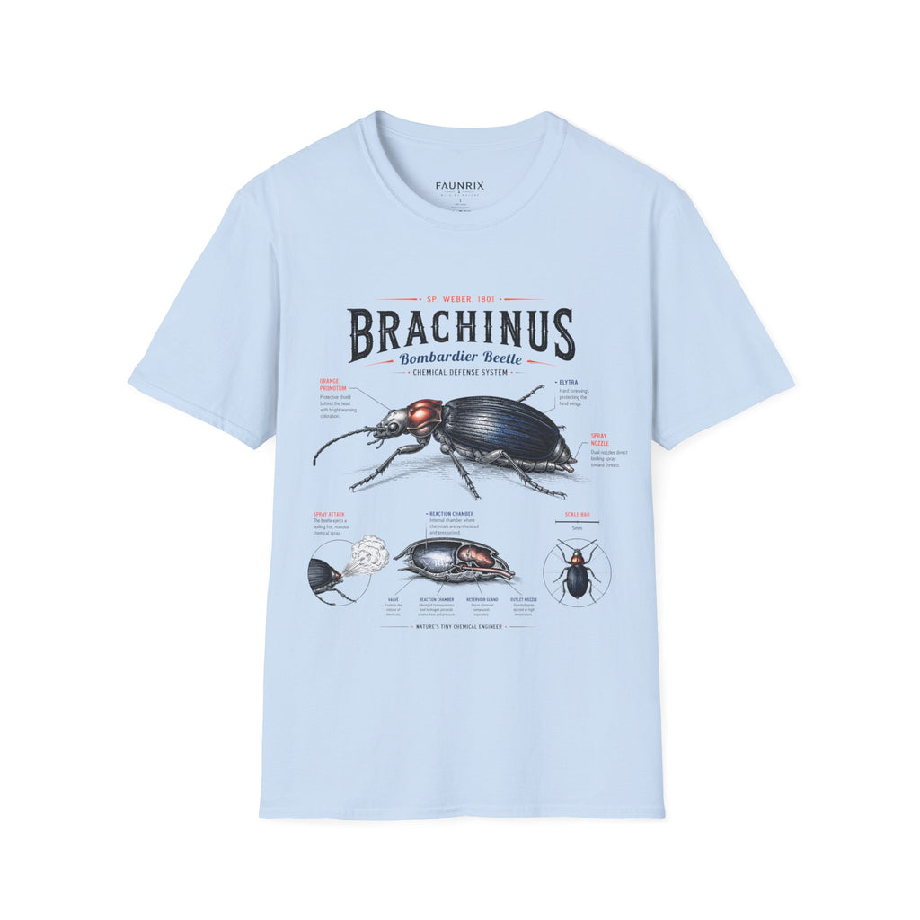 Brachinus Bombardier Beetle Anatomy T-Shirt — Vintage Entomology Graphic Tee