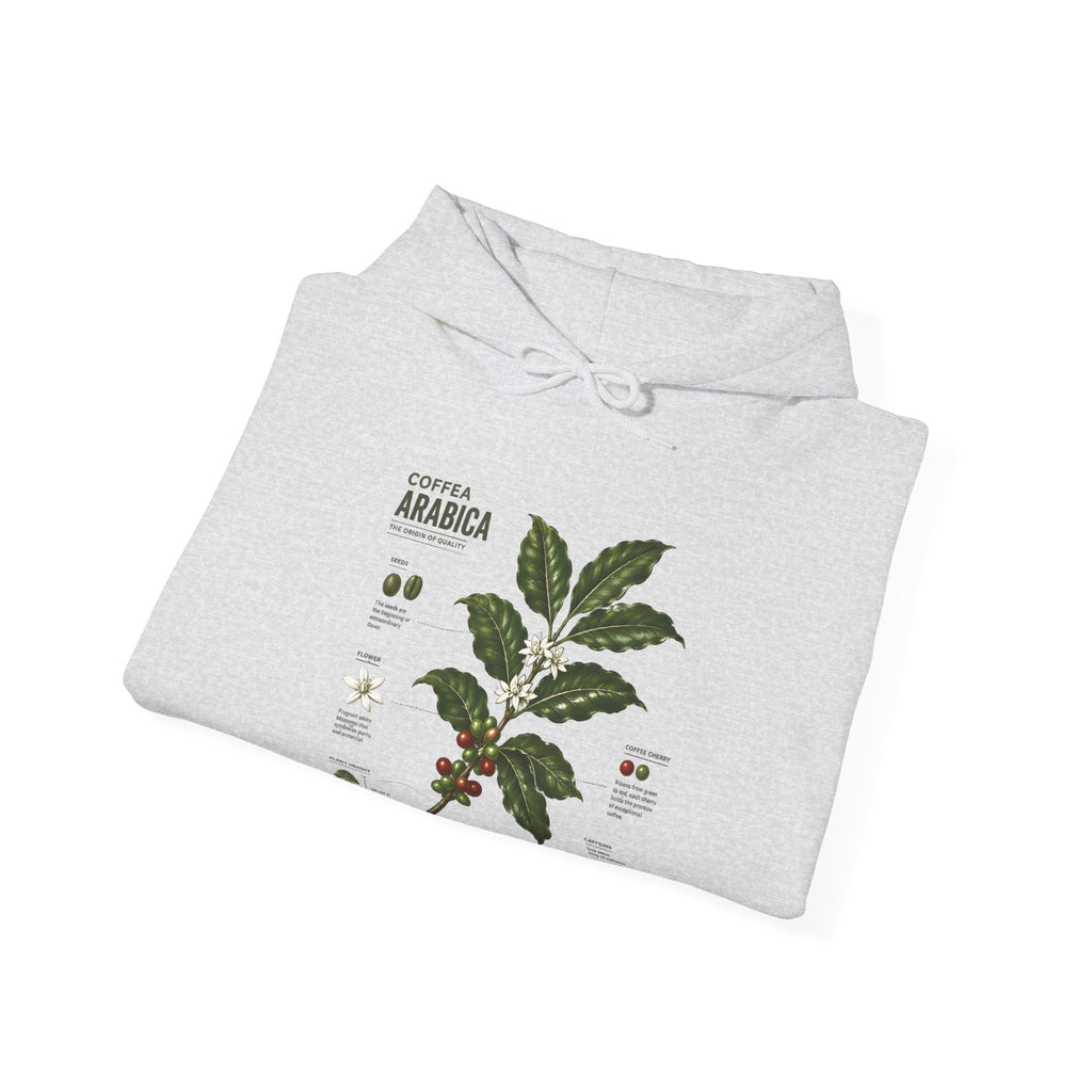 Coffee Plant Hoodie — Coffea Arabica Botanical Illustration Sweatshirt