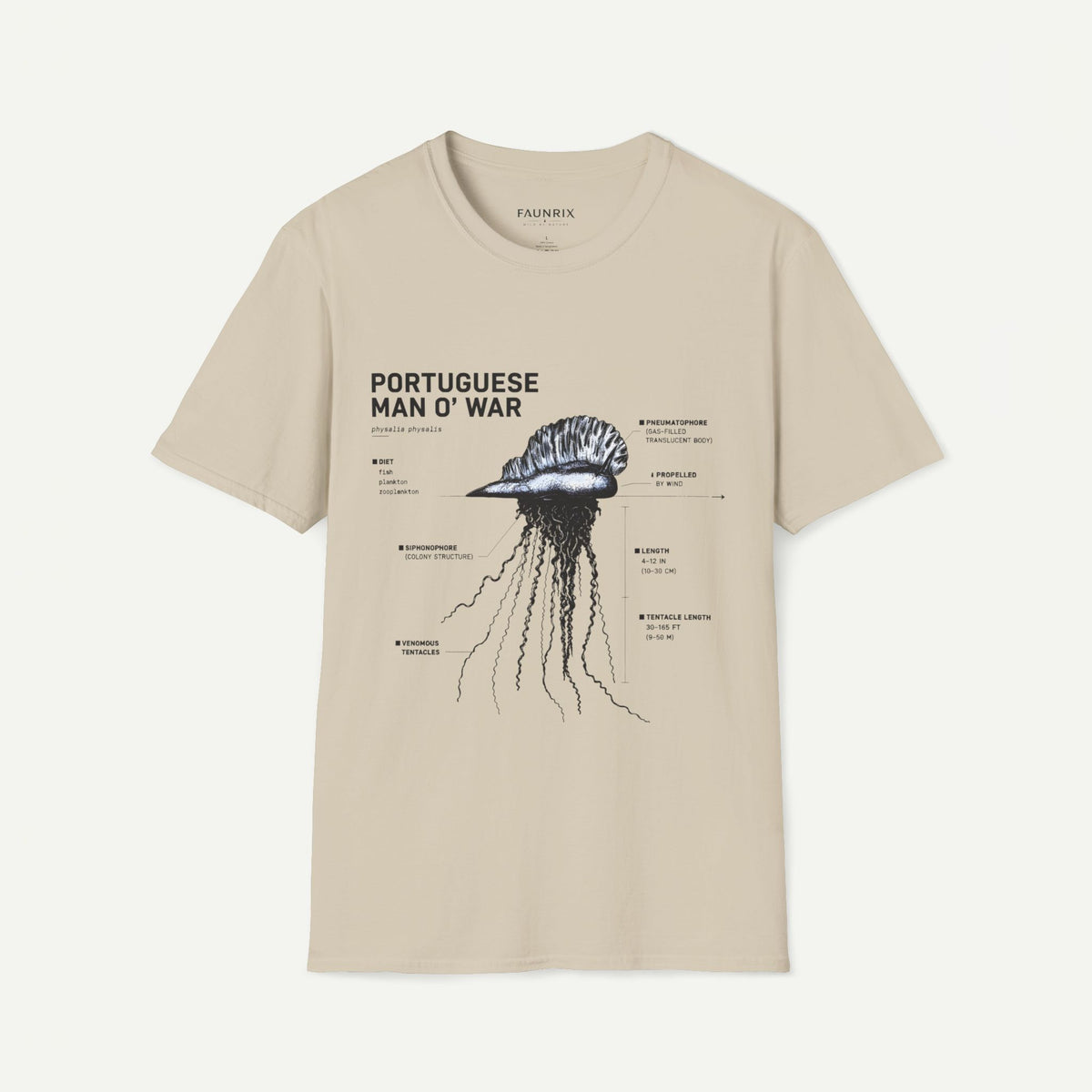 Portuguese Man O' War Anatomy T-Shirt — Marine Biology Graphic Tee