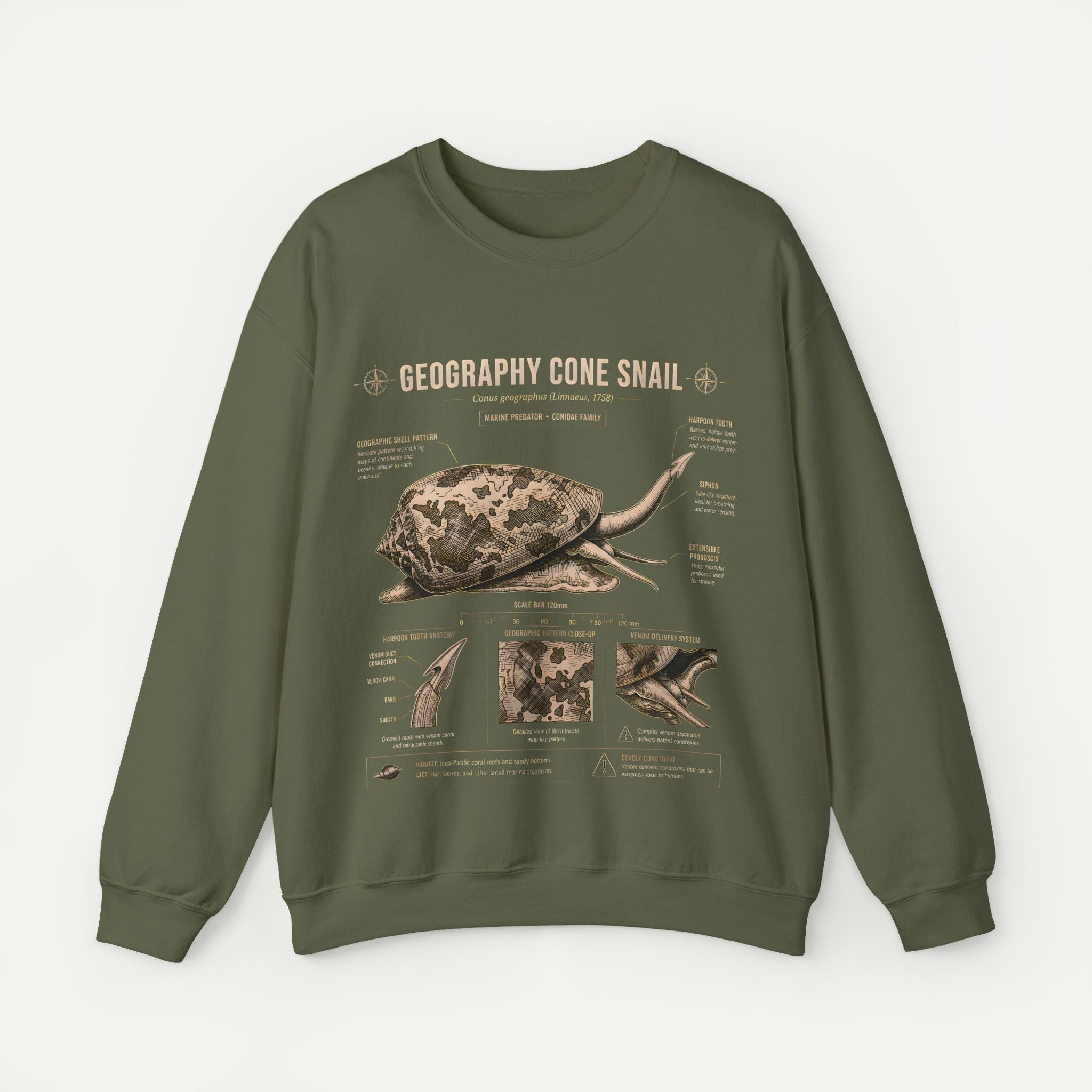 Geography Cone Snail Anatomy Sweatshirt Secondary image