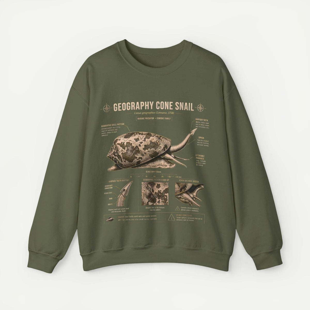 Geography Cone Snail Anatomy Sweatshirt