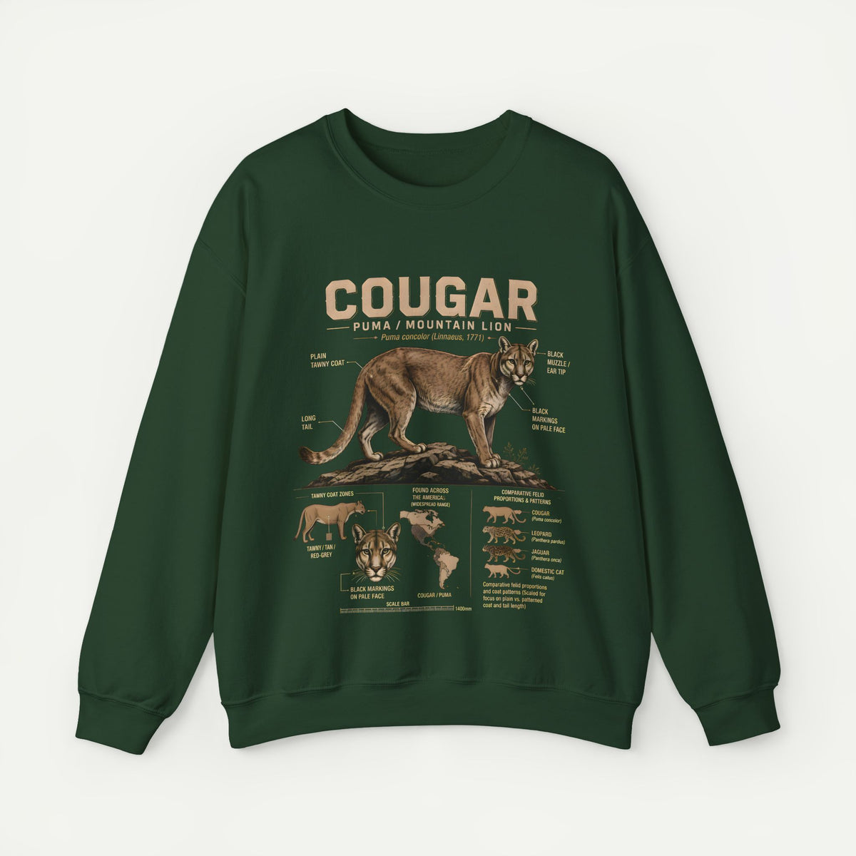 Cougar Anatomy Sweatshirt – Puma / Mountain Lion Educational Crewneck