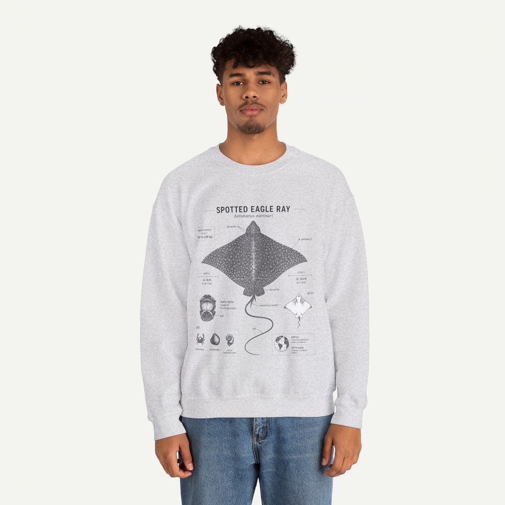 Spotted Eagle Ray Anatomy Sweatshirt – Marine Biology Illustration