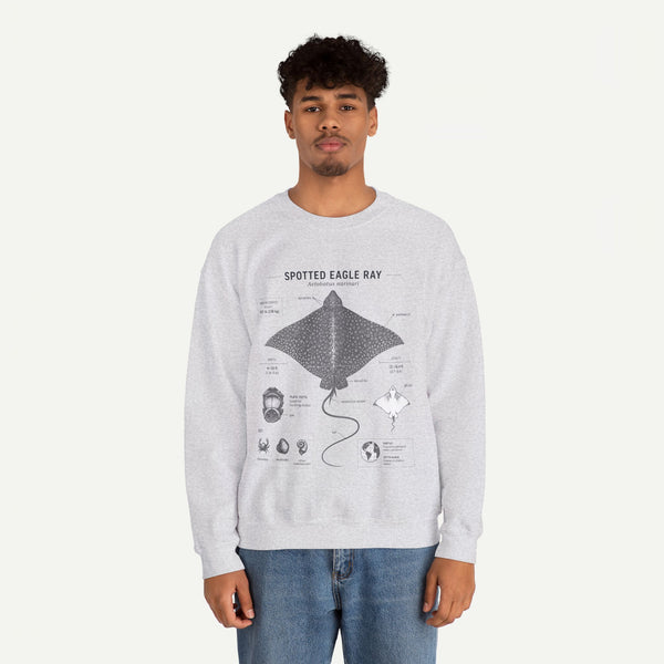 Spotted Eagle Ray Anatomy Sweatshirt – Marine Biology Illustration