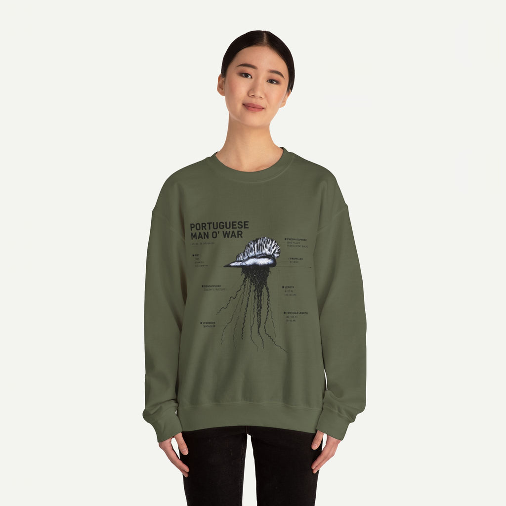 Portuguese Man O' War Anatomy Sweatshirt