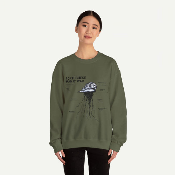 Portuguese Man O' War Anatomy Sweatshirt