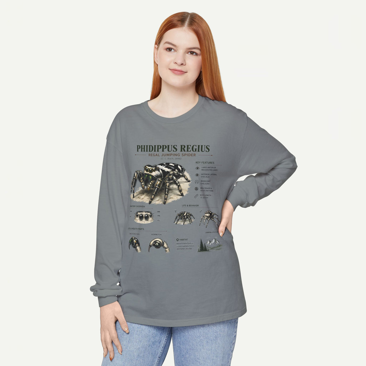 Phidippus Regius Jumping Spider Illustration Long Sleeve Tee