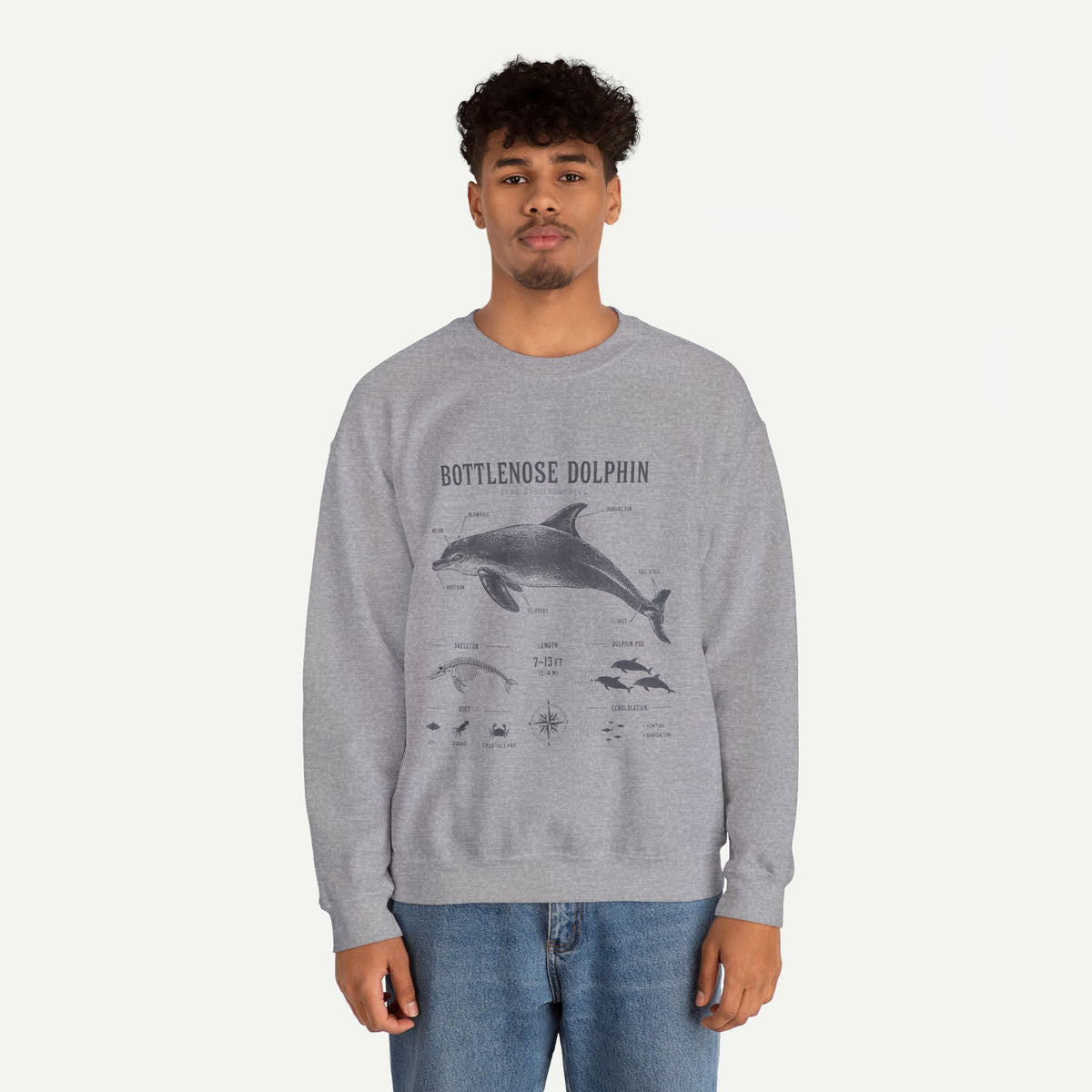 Bottlenose Dolphin Sweatshirt – Marine Life Educational Graphic