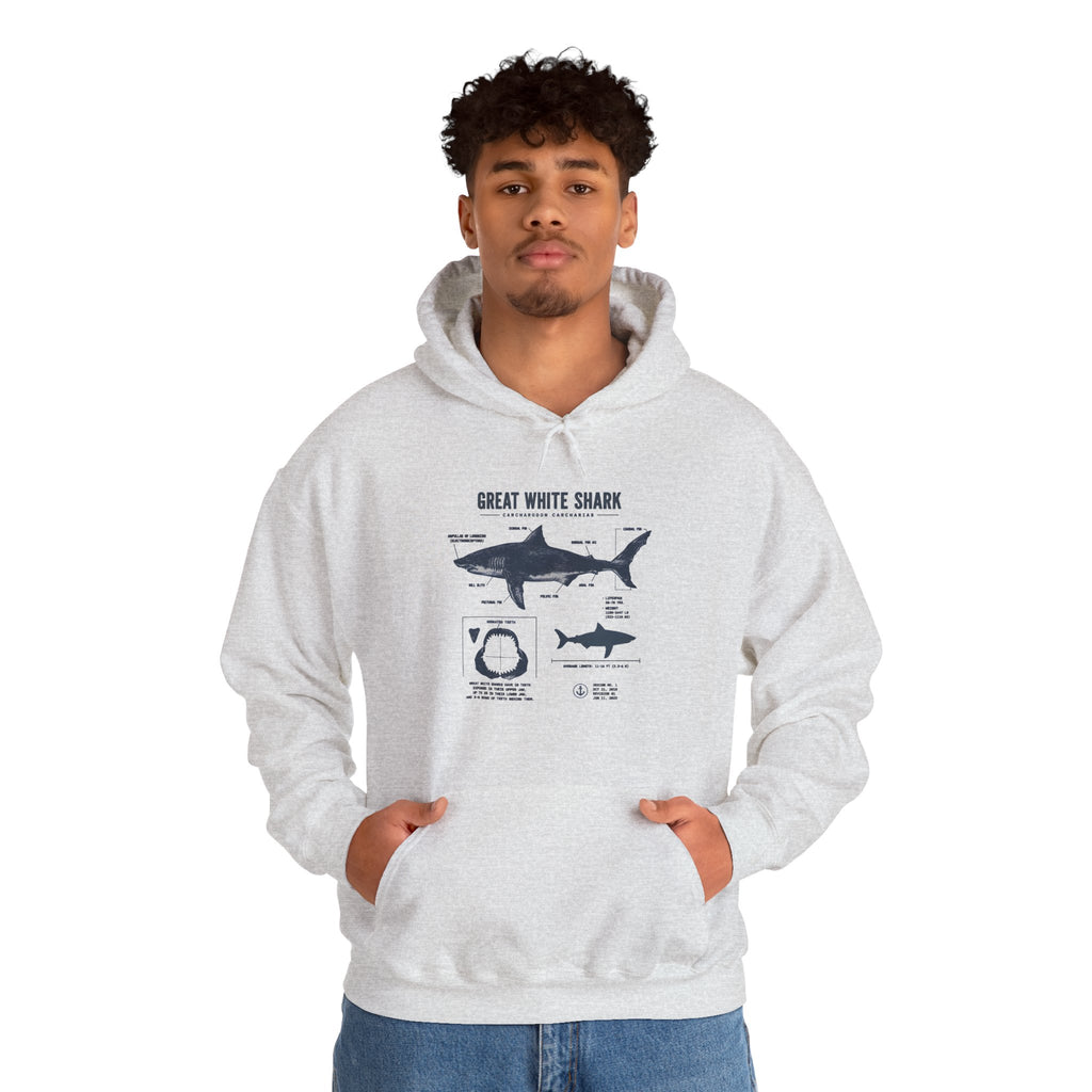 Shark Diagram Hoodie — Great White Shark Anatomy Graphic Sweatshirt