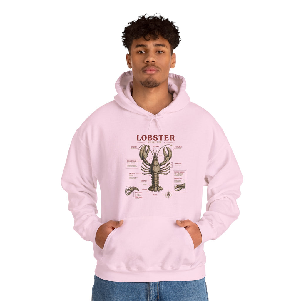 Lobster Anatomy Hoodie – Nautical Seafood Illustration Pullover
