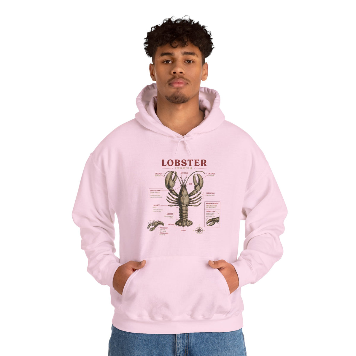 Lobster Anatomy Hoodie – Nautical Seafood Illustration Pullover