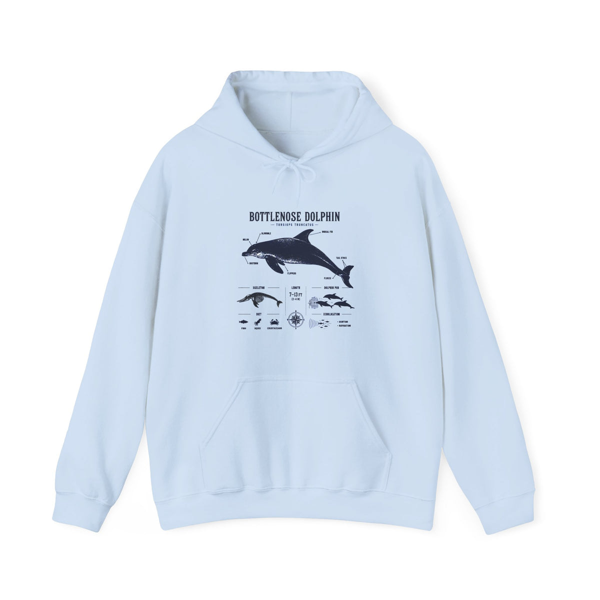 Bottlenose Dolphin Diagram Hoodie – Marine Life Anatomy Sweatshirt