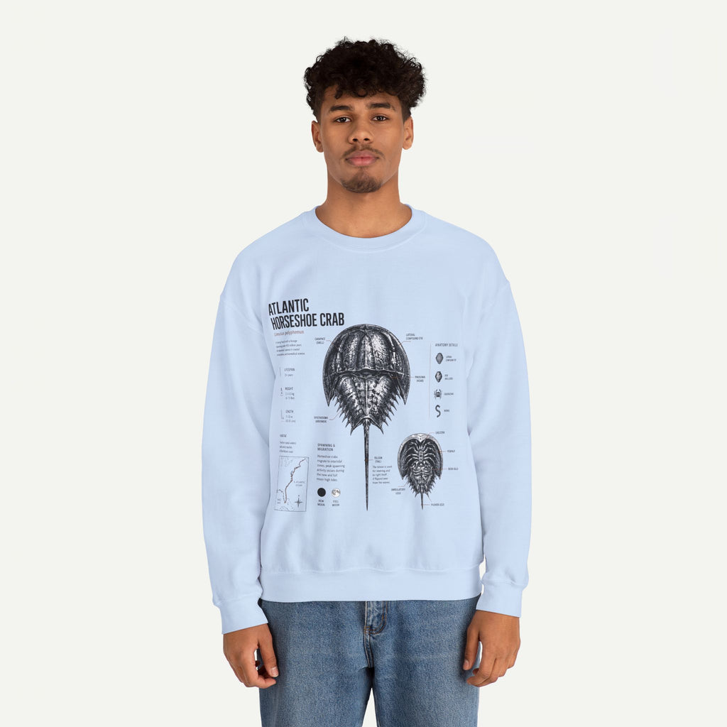 Horseshoe Crab Anatomy Sweatshirt — Atlantic Horseshoe Crab Illustration Crewneck