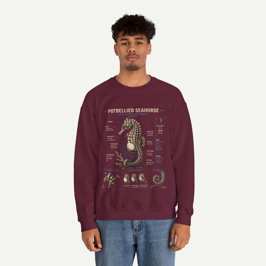 Potbellied Seahorse Anatomy Sweatshirt – Marine Biology Illustration Crewneck
