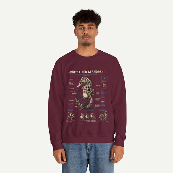 Potbellied Seahorse Anatomy Sweatshirt – Marine Biology Illustration Crewneck