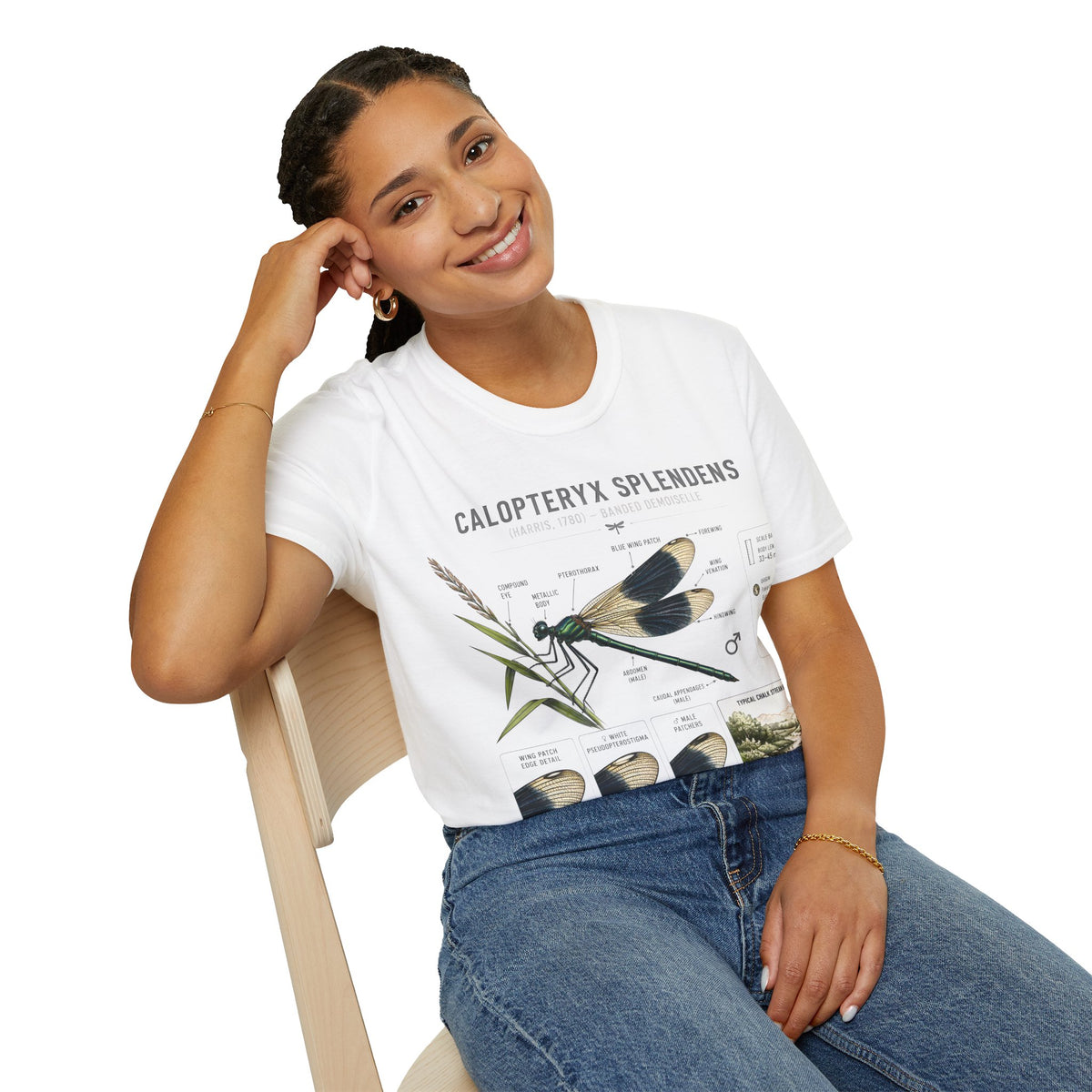 Calopteryx Splendens Anatomy T-Shirt