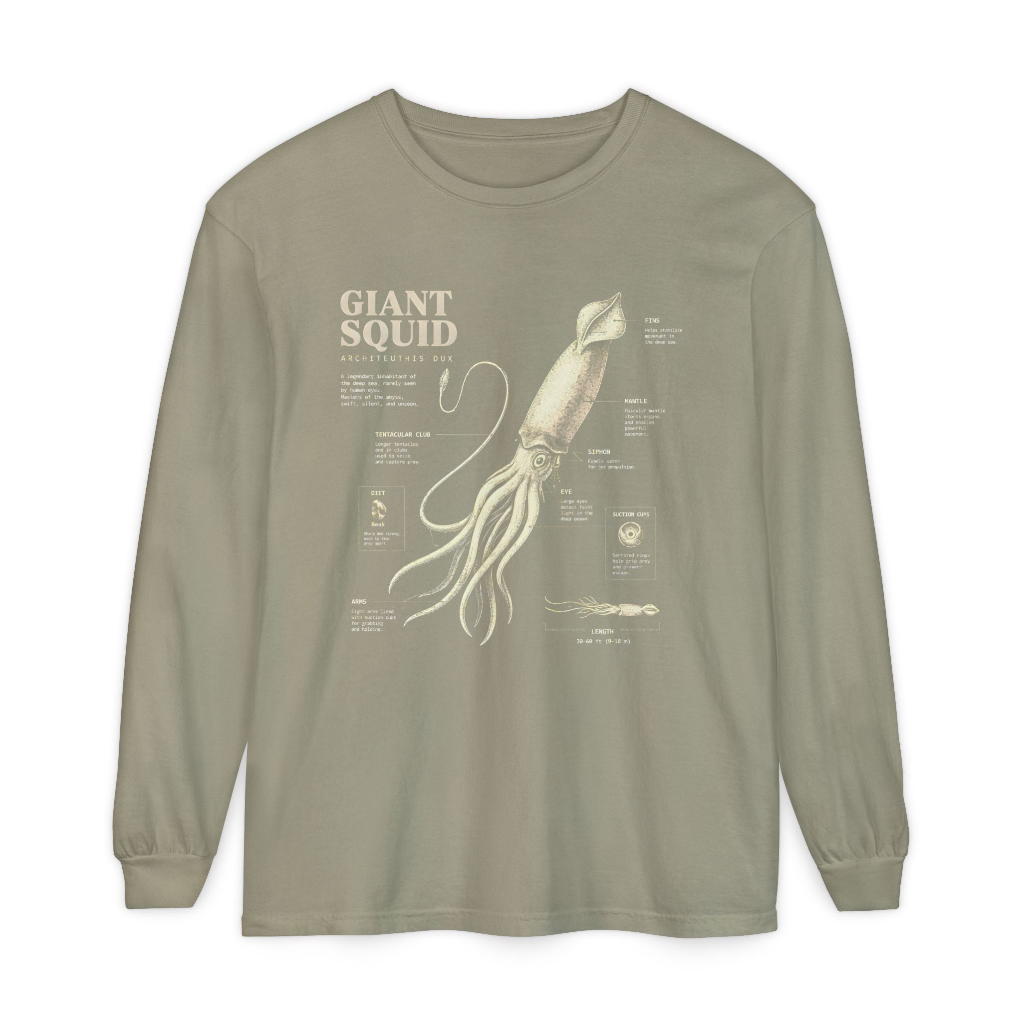 Giant Squid Anatomy Long Sleeve Tee Secondary image