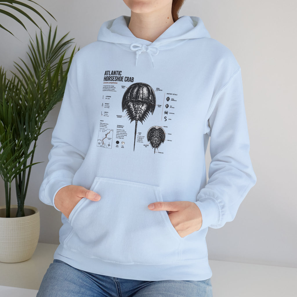 Horseshoe Crab Anatomy Hoodies