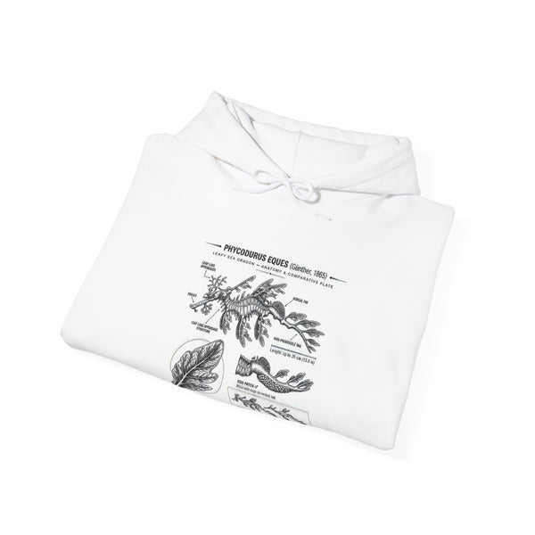 Botanical Anatomy Hoodie — Vintage Plant Diagram Sweatshirt