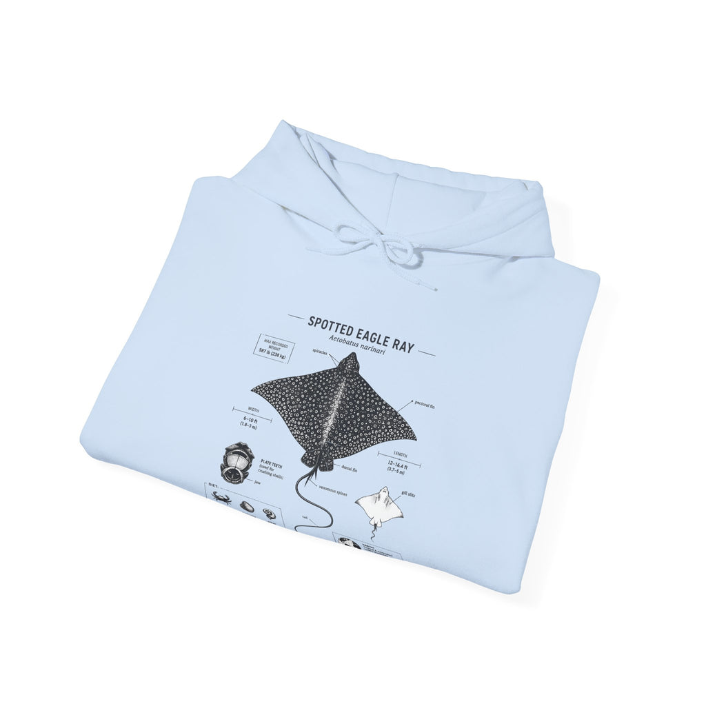 Manta Ray Anatomy Hoodie – Spotted Eagle Ray Diagram Sweatshirt