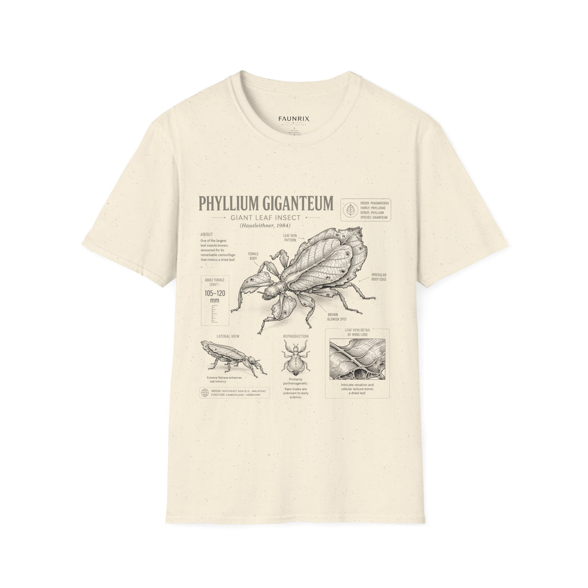 Phyllium Giganteum Anatomy T-Shirt — Botanical Insect Illustration Tee