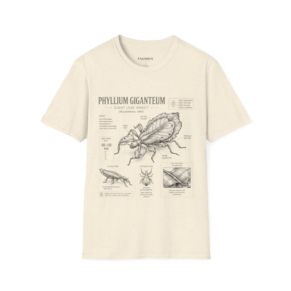 Phyllium Giganteum Anatomy T-Shirt — Botanical Insect Illustration Tee