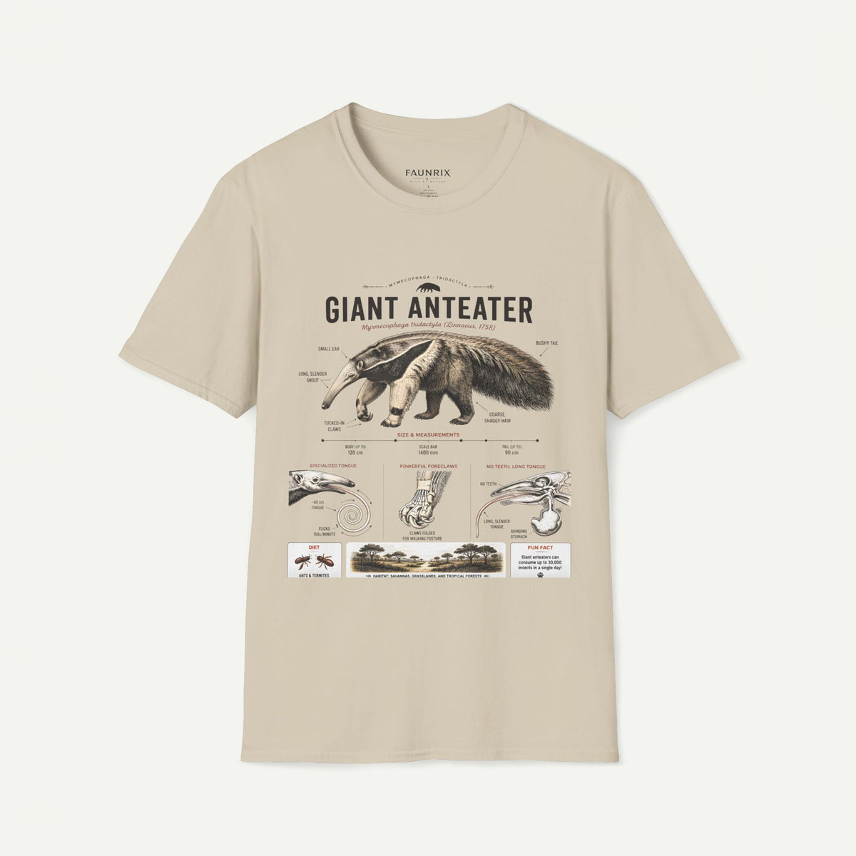 Giant Anteater Anatomy Tee — Vintage Natural History Animal Graphic T-Shirt