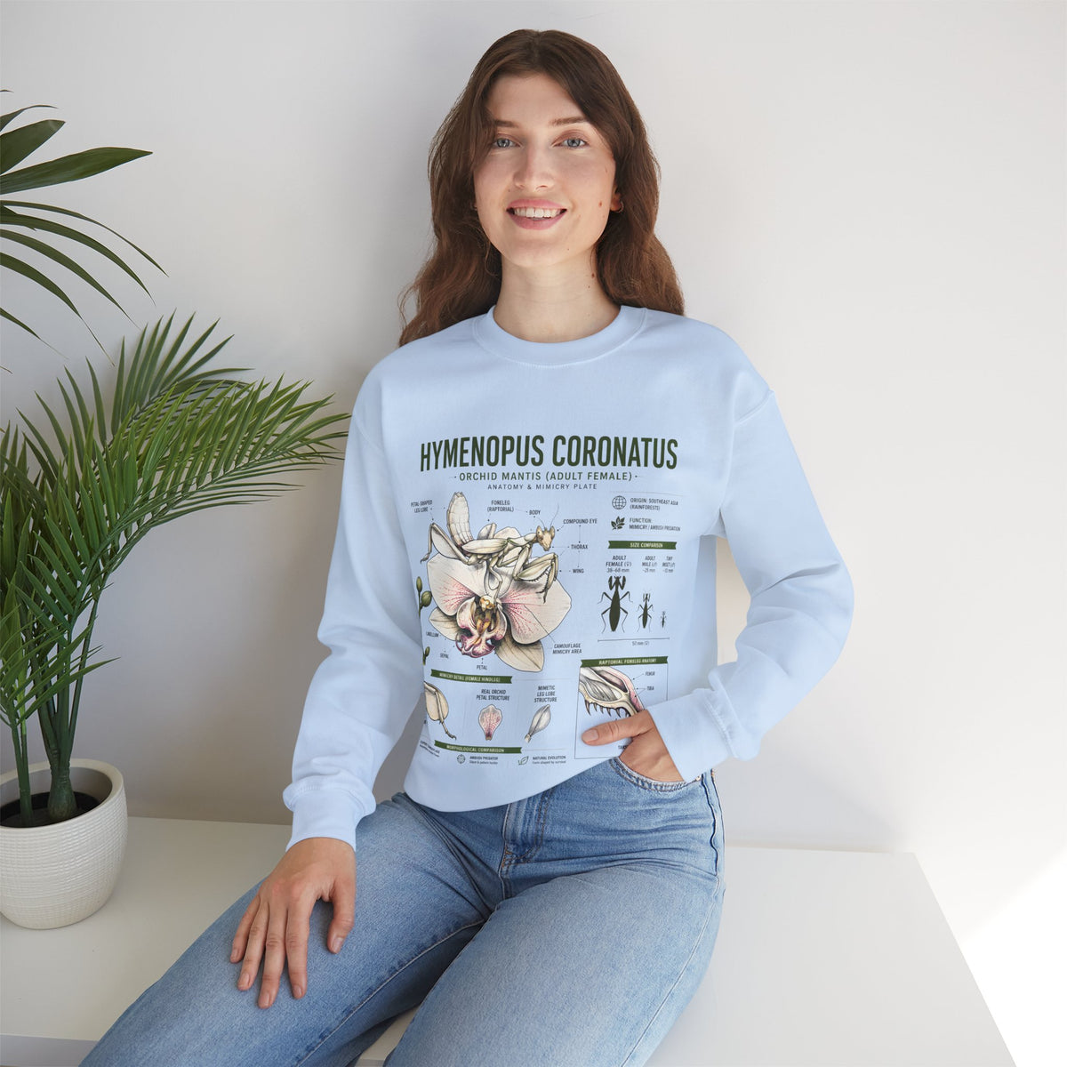 Botanical Anatomy Sweatshirt — Hymenopus Coronatus Illustration