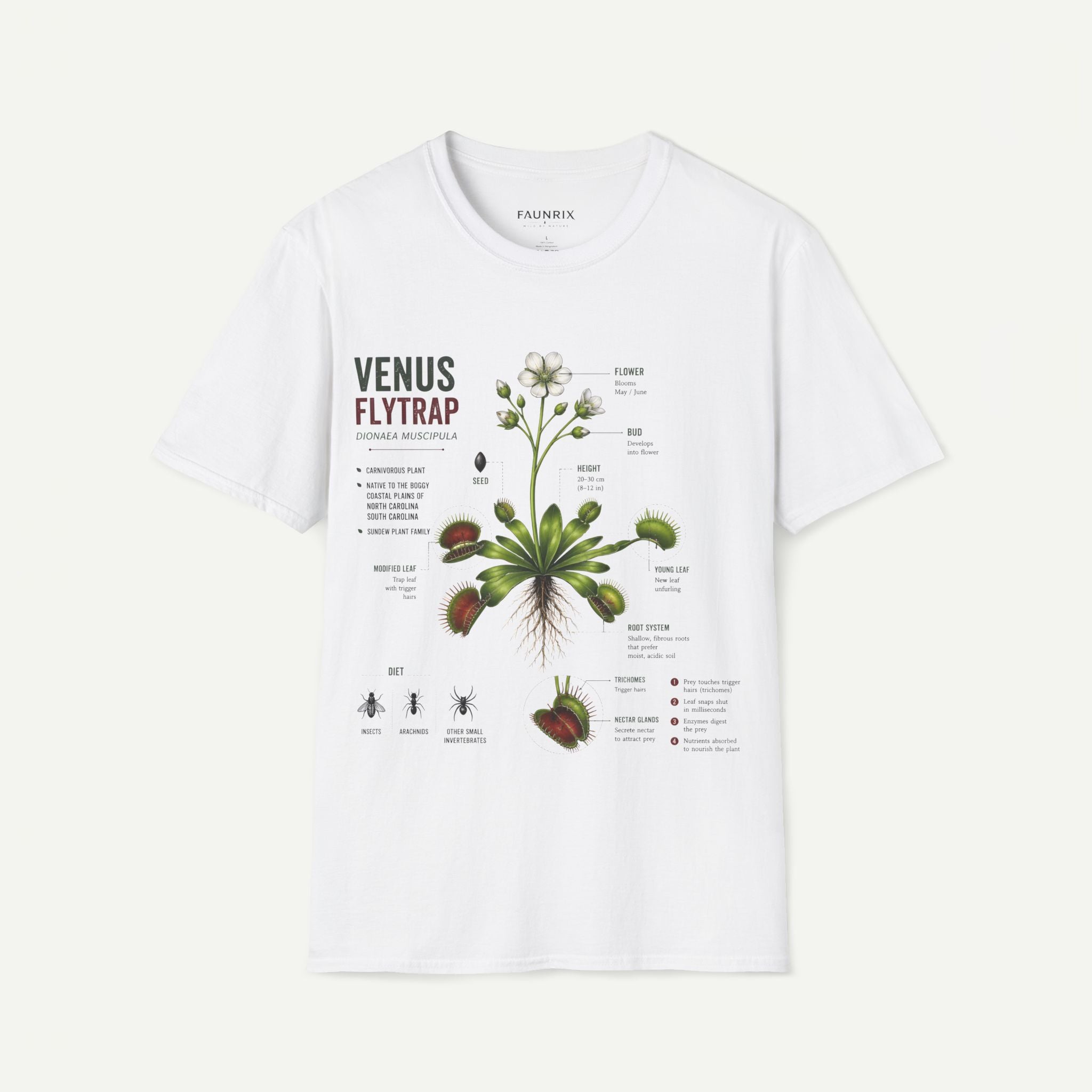 Venus Flytrap Anatomy Botanical T-Shirt – Illustrated Plant Diagram Tee Secondary image