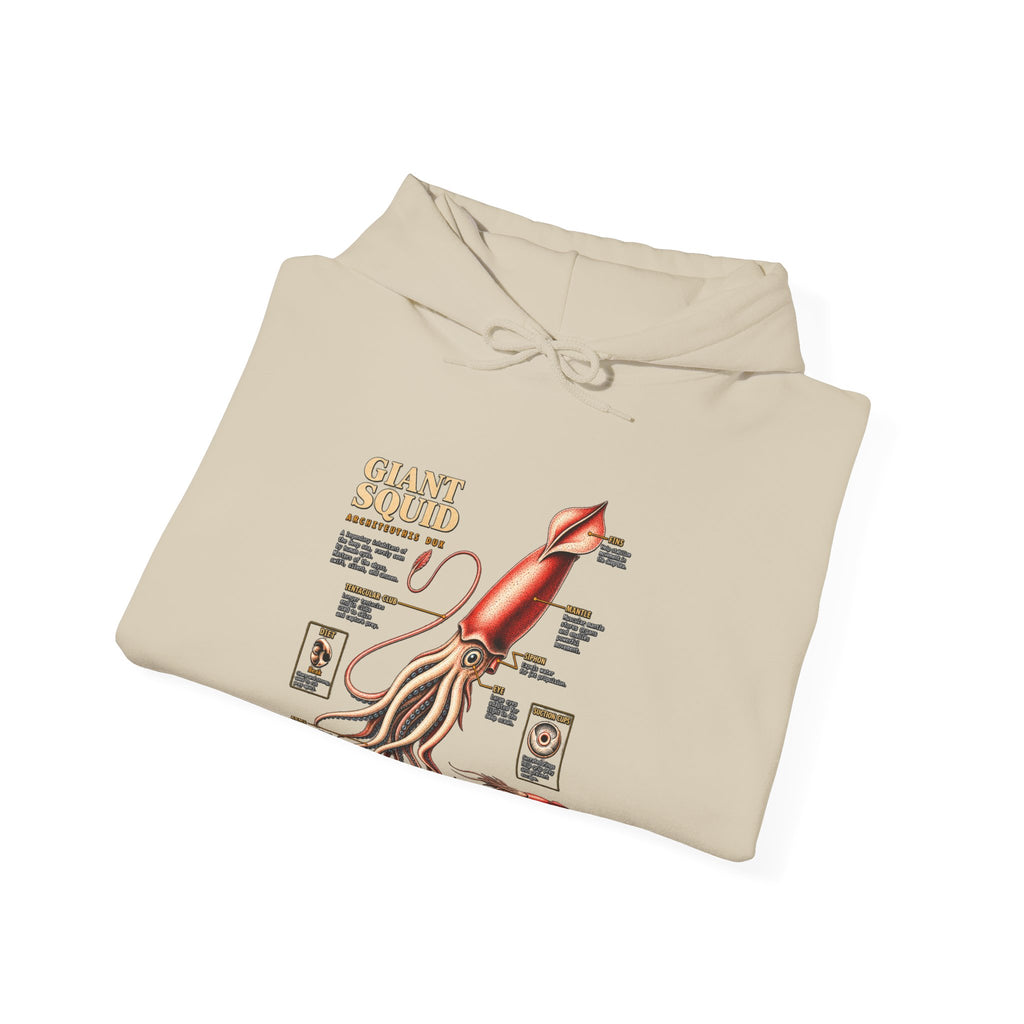 Squid Anatomy Hoodie — Vintage Scientific Illustration Pullover