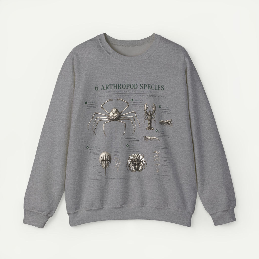 Arthropod Species Diagram Sweatshirt — Vintage Scientific Illustration Crewneck