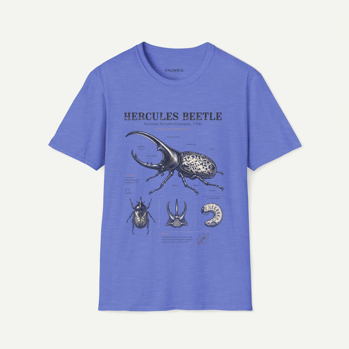 Hercules Beetle Anatomy T-Shirt — Vintage Entomology Graphic Tee