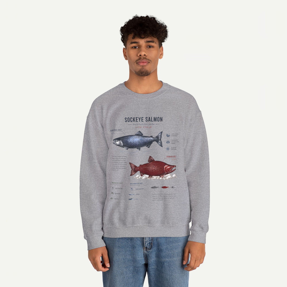 Sockeye Salmon Anatomy Sweatshirt — Fish Anatomy Graphic Crewneck