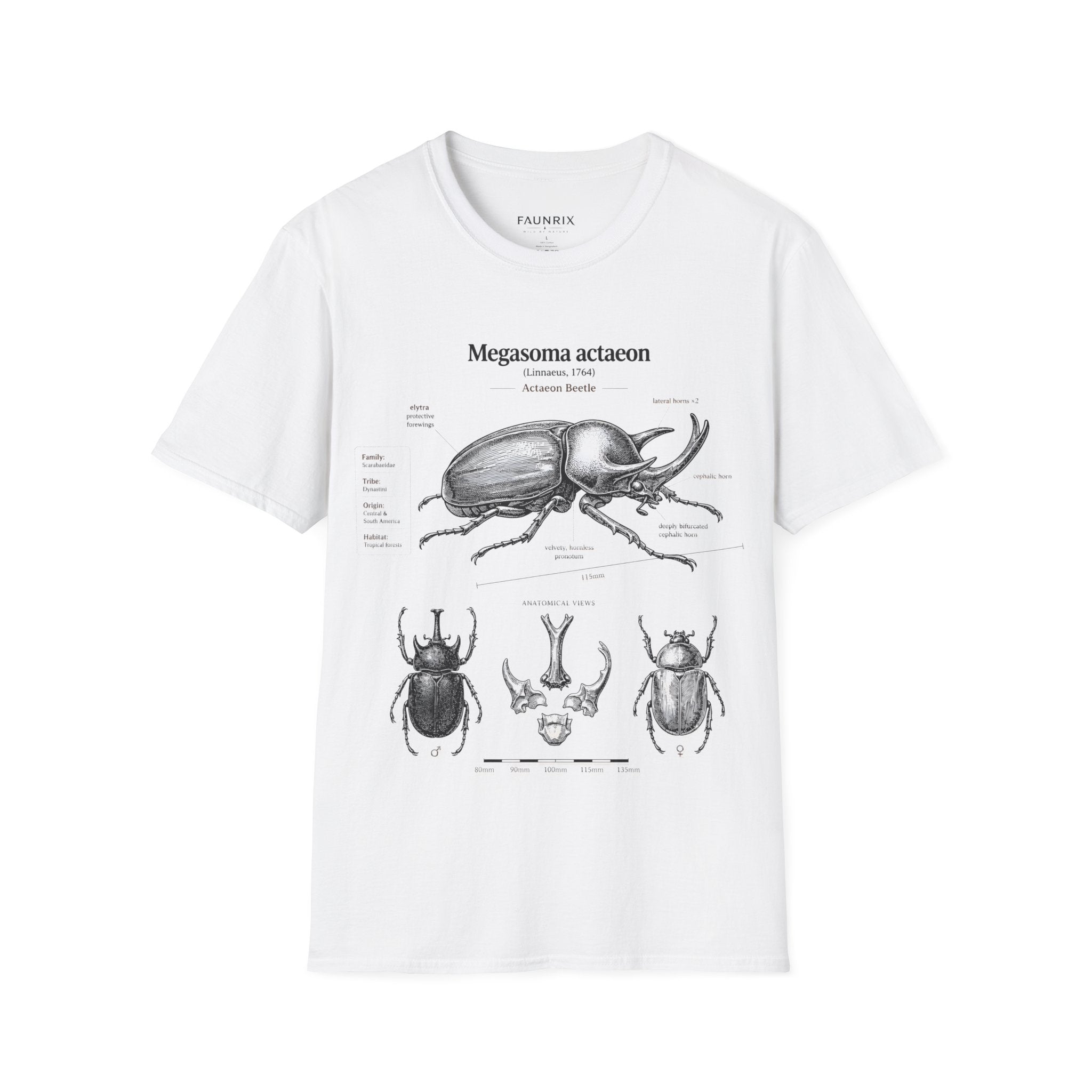 Beetle Anatomy T-Shirt — Megasoma actaeon Scientific Illustration Tee Secondary image